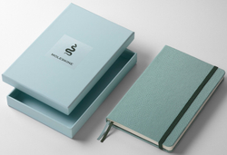 Блокнот Moleskine LE YEAR OF THЕ SNAKE 130х210 мм 176 стр линейка мятный Mamba (LECNYSNKVEGMBOX)