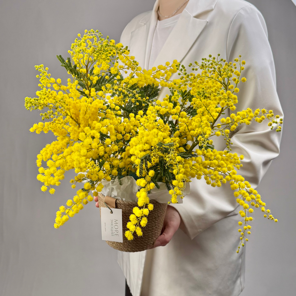 Корзина Солнечные ноты