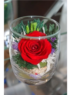 натуральные цветы в стекле, вакуум