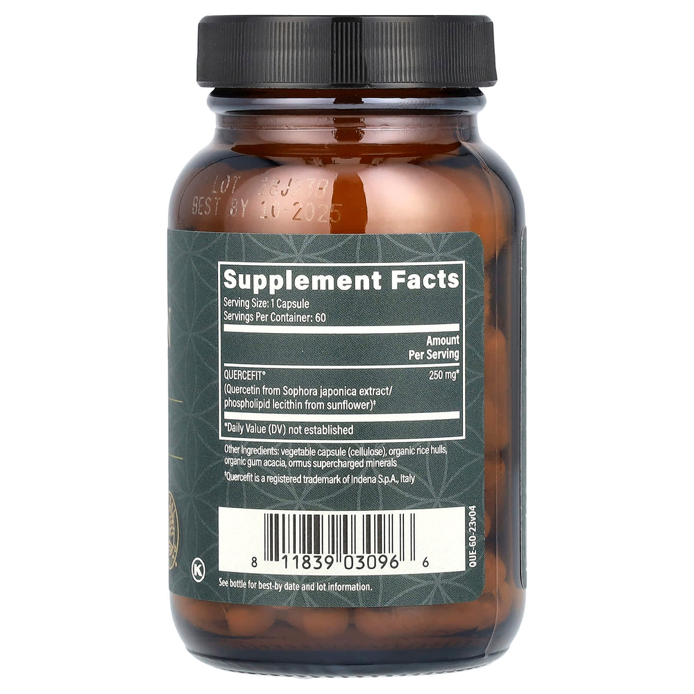 Global Healing, растительный кверцетин, 60 капсул (250 мг в 1 капсуле)
