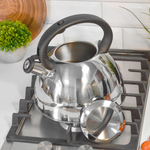 Чайник 3,5л нерж со свистком 7617-35RS\WK