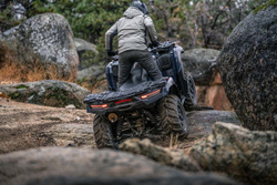 Квадроцикл KAWASAKI Brute Force 750 EPS (2024) (ПСМ)