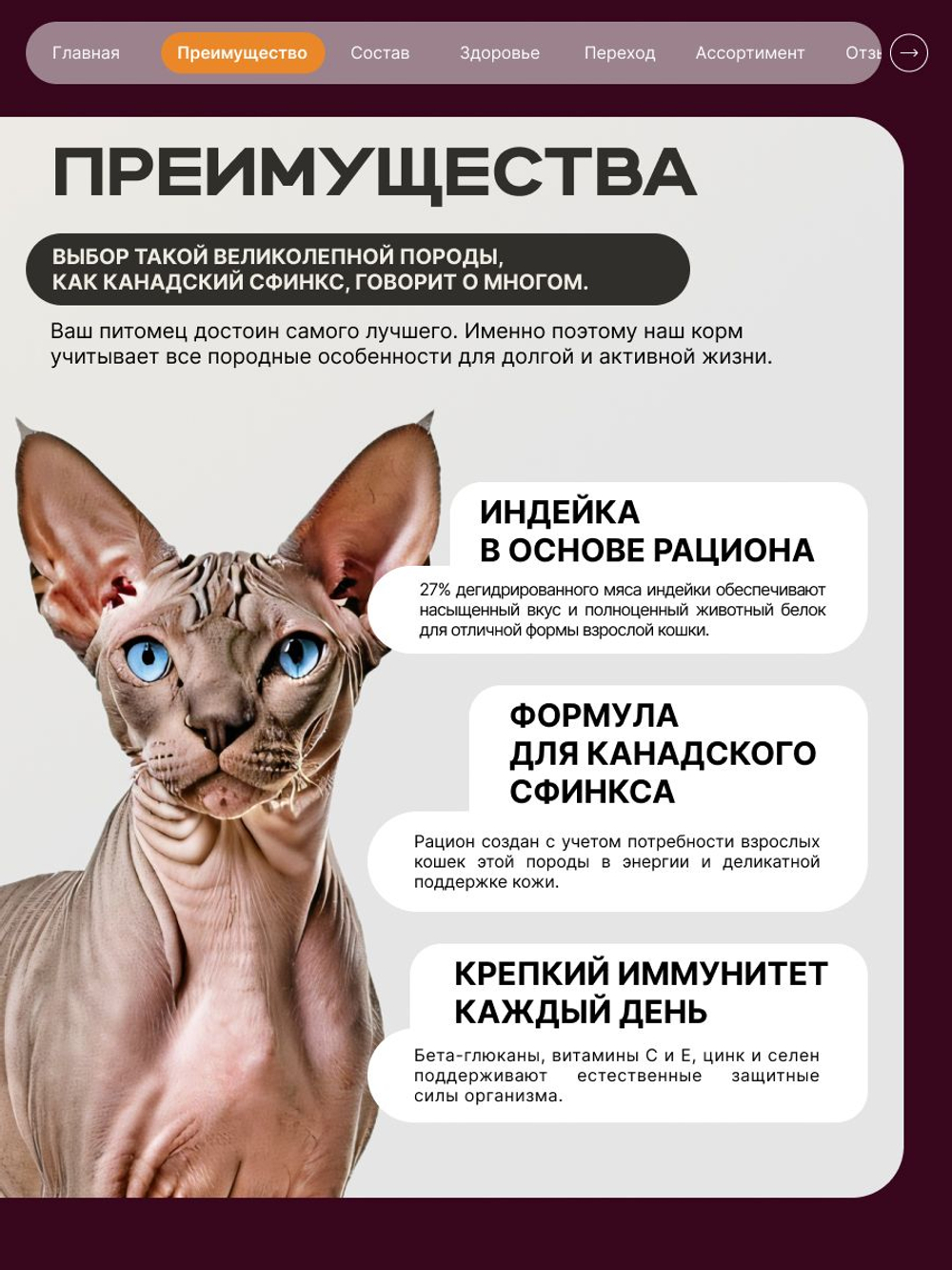 Корм сухой для кошек породы Канадский сфинкс, с индейкой, 400 гр, QUATTRO