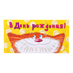Конверт для денег "В День Рождения!" кот, 8,5 х 17 см