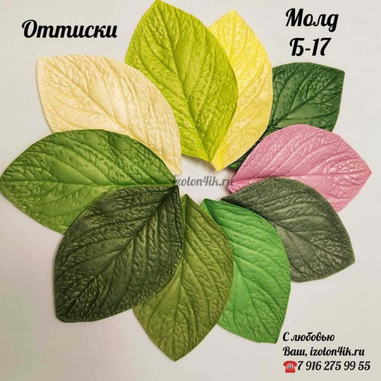 Молд Б-17