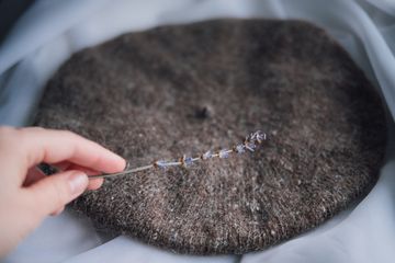 Маленький французский берет