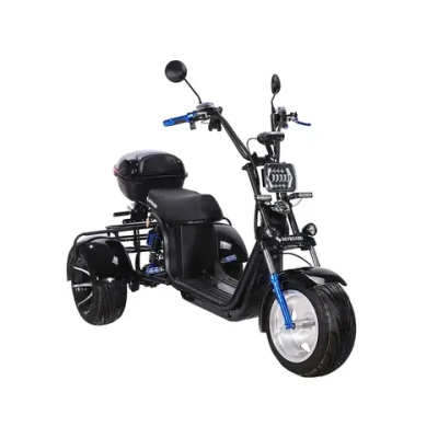 Skyboard TRIKE BR60-3000 PRO FAST