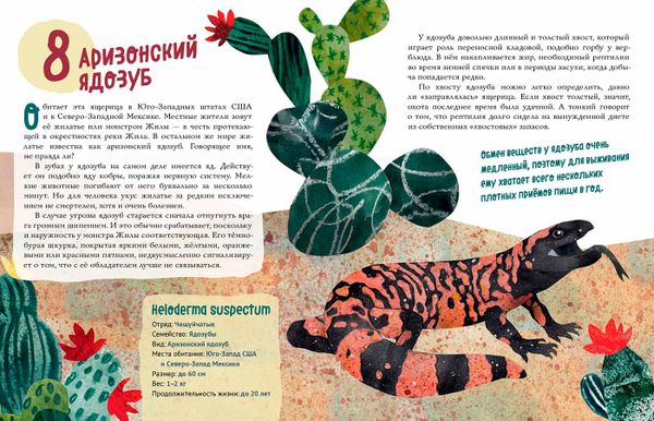 Ящерицы. Великолепная десятка