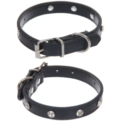 Ошейник для собак и кошек со стразами «На стиле», цвет черный, 1.5см, размер XS, 20*25см (лейбл)