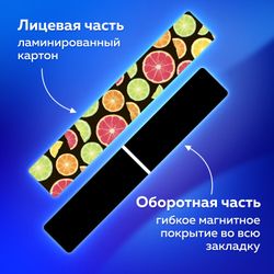 Закладки для книг МАГНИТНЫЕ, "FRUITS", набор 12 шт., 60x20 мм, BRAUBERG, 113173