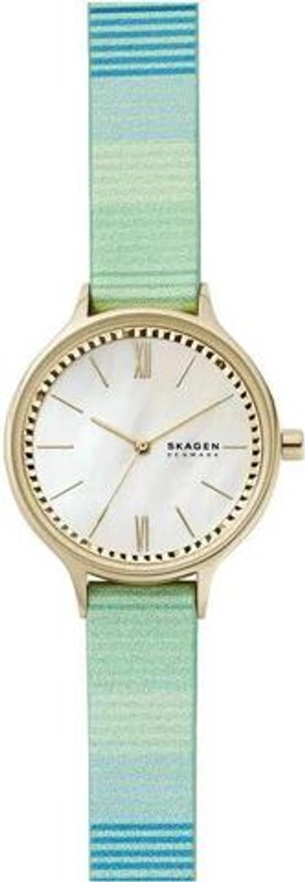 Женские наручные часы Skagen SKW2905