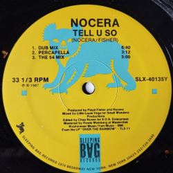 Винтажная виниловая пластинка LP Nocera Tell U So (USA 1987) Maxi Single