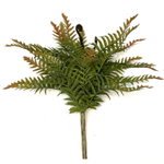 Папоротник зелёно-коричневый 37 см.