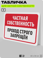 Табличка для частной территории "Частная собственность, проход строго запрещен", на дом, для участка, организаций, предупреждающая, 40х30 см, Silver Plane x Айдентика Технолоджи