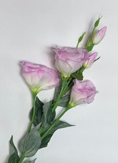 Эустома ветка