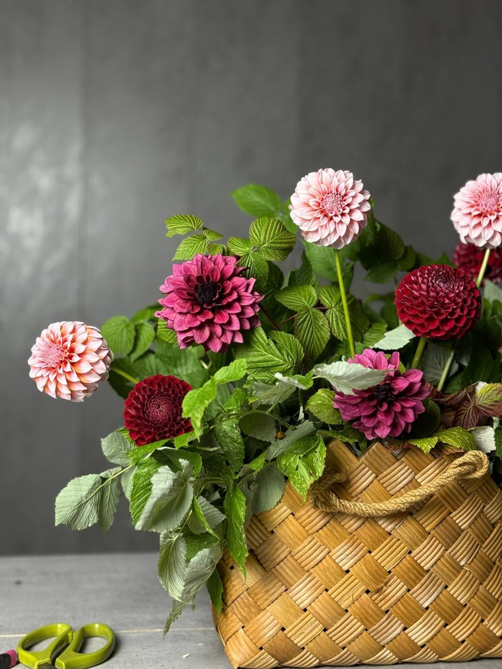 Клумба георгин