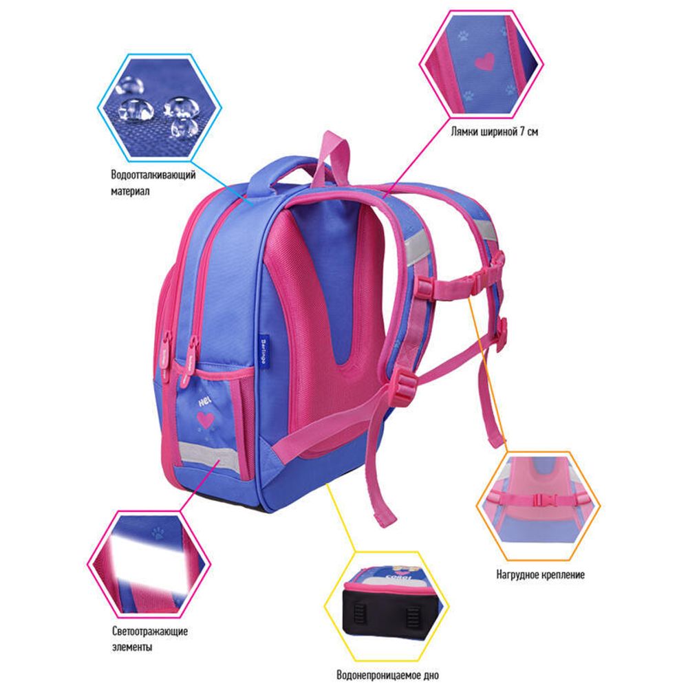 Ранец Berlingo Flash Pretty corgi 37*28*16см, с анатомической спинкой