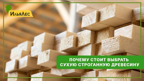 Почему стоит выбрать сухую стоганную древесину