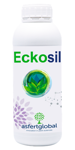 Eckosil 1L