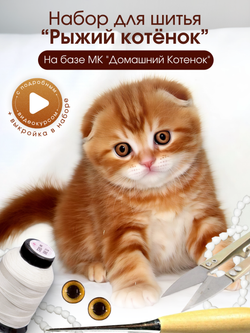 МК с набором для шитья "Реалистичный рыжий котенок"