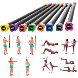 Бодибар Areo Fit 2кг