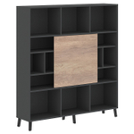 Стеллаж со слайд-дверью JAY (Джэй)