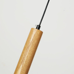 Подвесной светильник Favourite Pendenti 2015-1P