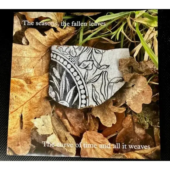 Belle & Sebastian - Late Developers LP