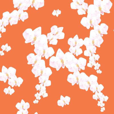 Белые орхидеи на оранжевом