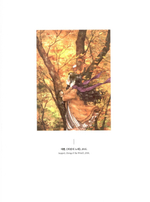 Forest Girl's 2. Colouring Book