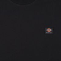  Футболка мужская Dickies Skateboarding Mount Vista Shirt артикул:WSSK6_black - купить в магазине Дайс