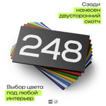 Номер на дверь 248, табличка на дверь для офиса, квартиры, кабинета, аудитории, склада, черная 120х70 мм, Айдентика Технолоджи