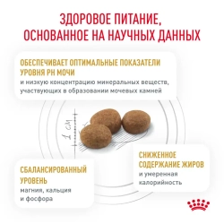Royal canin urinary s/o moderate calorie feline сухой корм для кошек при заболевании мочевыделительной системы - 400 г