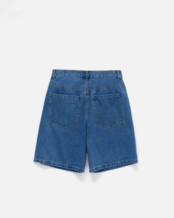 Шорты Anteater BaggyShorts-Navy