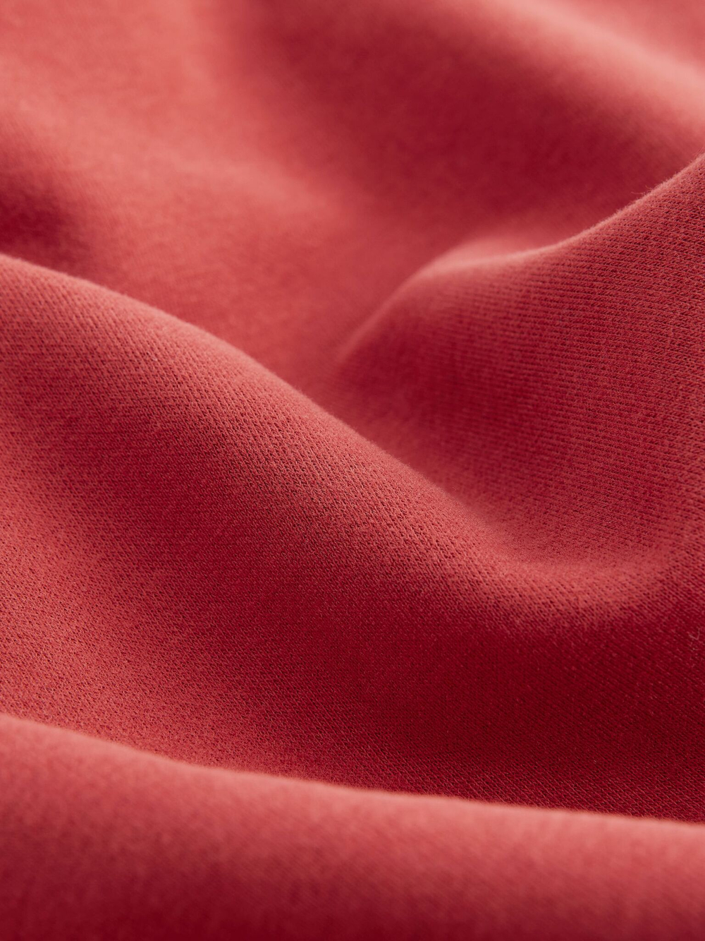 Толстовка с капюшоном для мальчика Next Q48-294, Кирпичный