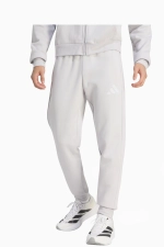 Штаны adidas Entrada 26 Sweat - серый