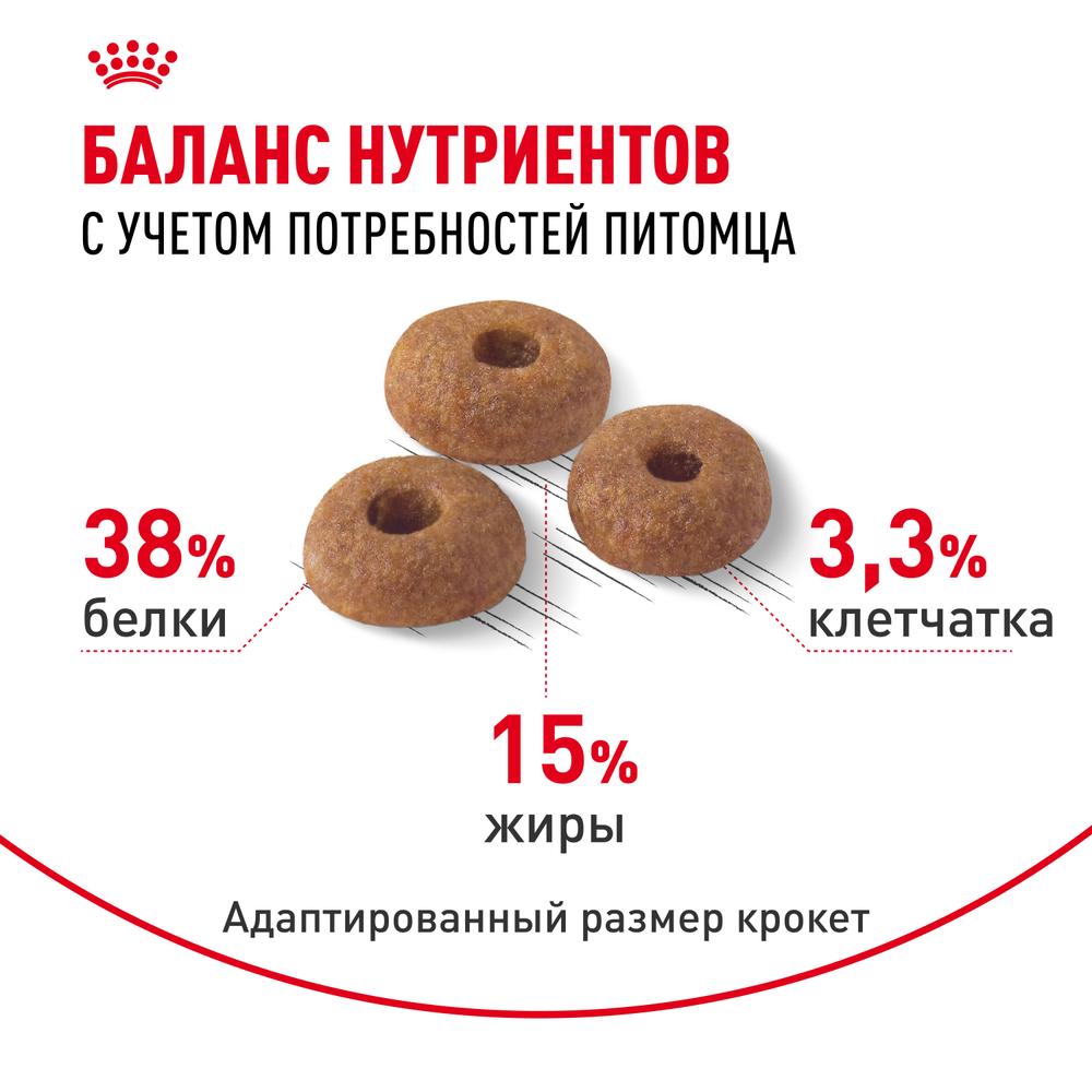 Royal Canin Digestive Care Дайджестив Кэа Корм сухой профилактика нарушений пищеварительной системы для взрослых кошек 400г