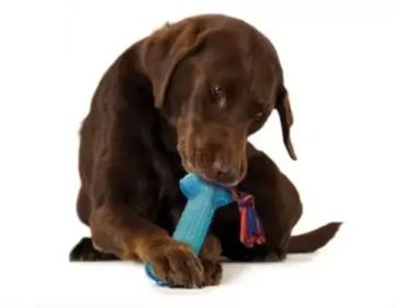 Petstages ORKA игрушка для собак косточка большая 23 см