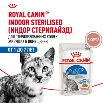 Royal Canin Indoor Sterilised влажный корм в соусе для домашних кошек старше 1 года