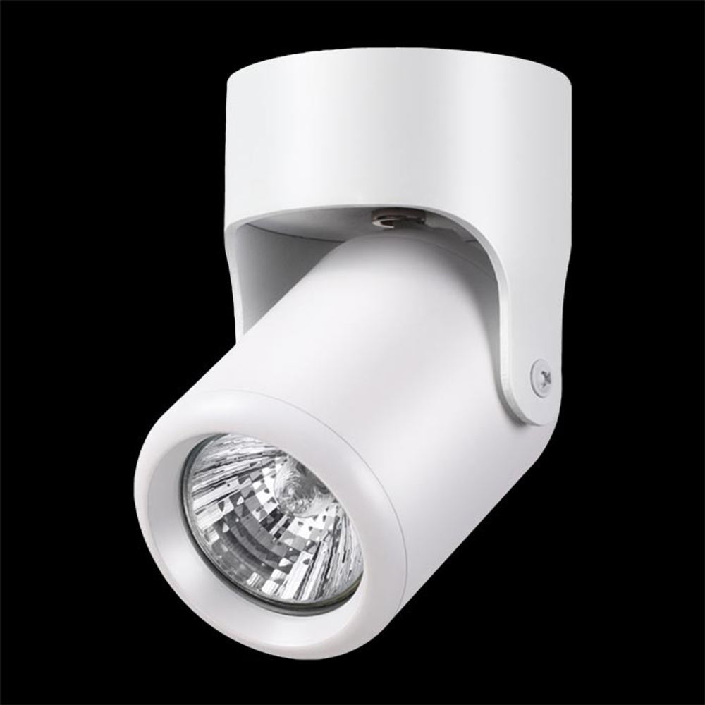 Спот Novotech 370454