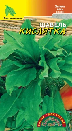 ЩАВЕЛЬ