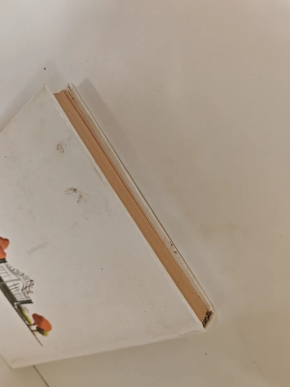 Временщики и фаворитки XVI, XVII, XVIII столетий». Книга 1