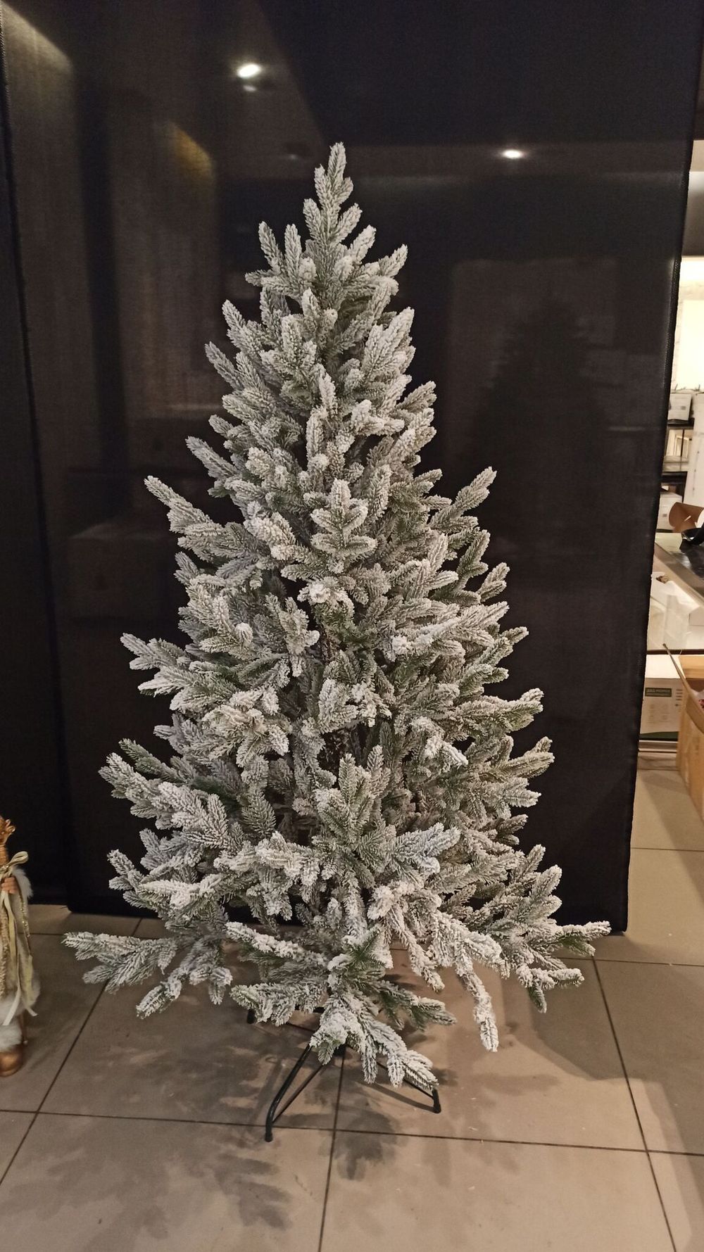 Ель Заснеженная «Нордман» (Литая хвоя) 180 см / 1,8 м