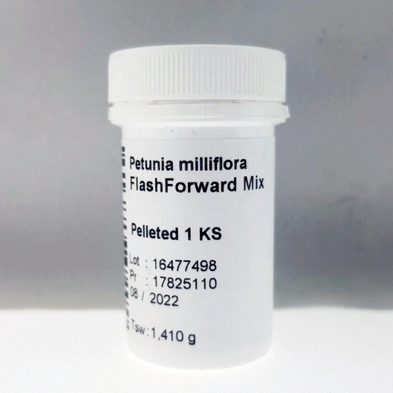 Петуния FLASHFORWARD MIX (Драже) – фото 2