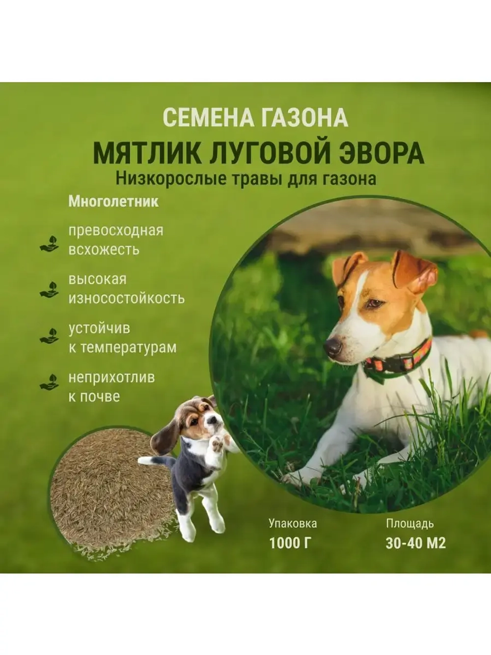 Семена Газона Мятлик  луговой