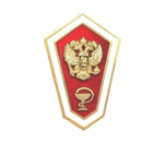 Значок алюминиевый гробик среднее медицинское образование