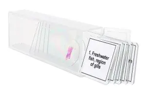 Набор микропрепаратов Levenhuk Discovery Prof DPS 5. «Амфибия»