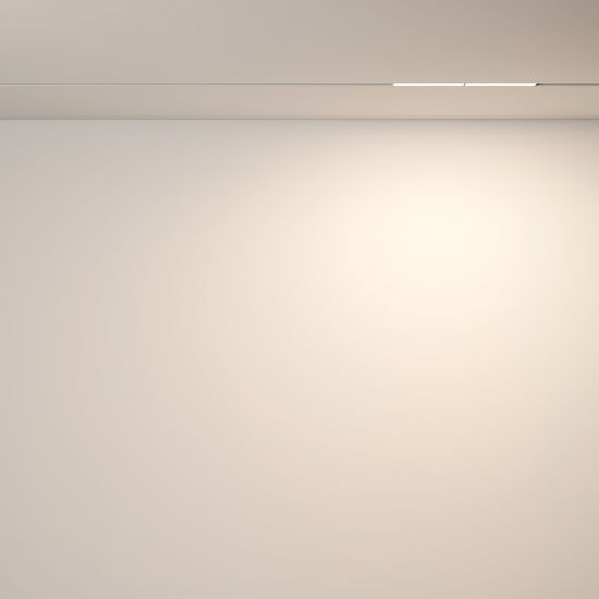 Трековый светильник Technical TR106-2-12W3K-W