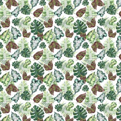 Тропические листья