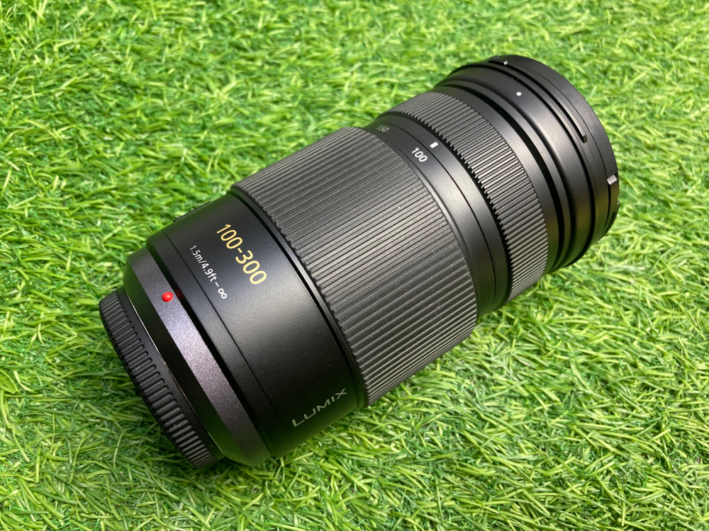 Panasonic Lumix G Vario 100-300 4.0-5.6 Mega O.I.S
